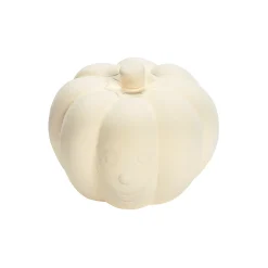 Diy Ceramic Mini Pumpkins - 12 Pc.