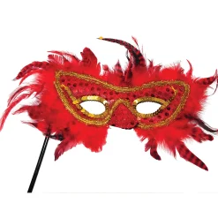 Feather Mask With Stick