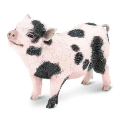 Safari Pot,Bellied Pig Toy