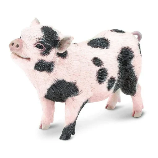 Safari Pot,Bellied Pig Toy
