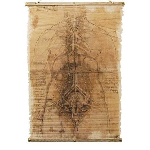 Skeleton Scroll Halloween Decoration