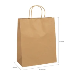 10 1/2" X 5 1/4" X 13" Large Brown Kraft Paper Gift Bags - 12 Pc.