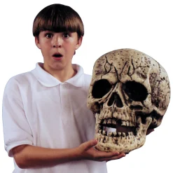 13 1/2" Giant Skull Halloween Decoration