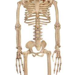 37" Alien Skeleton Decoration