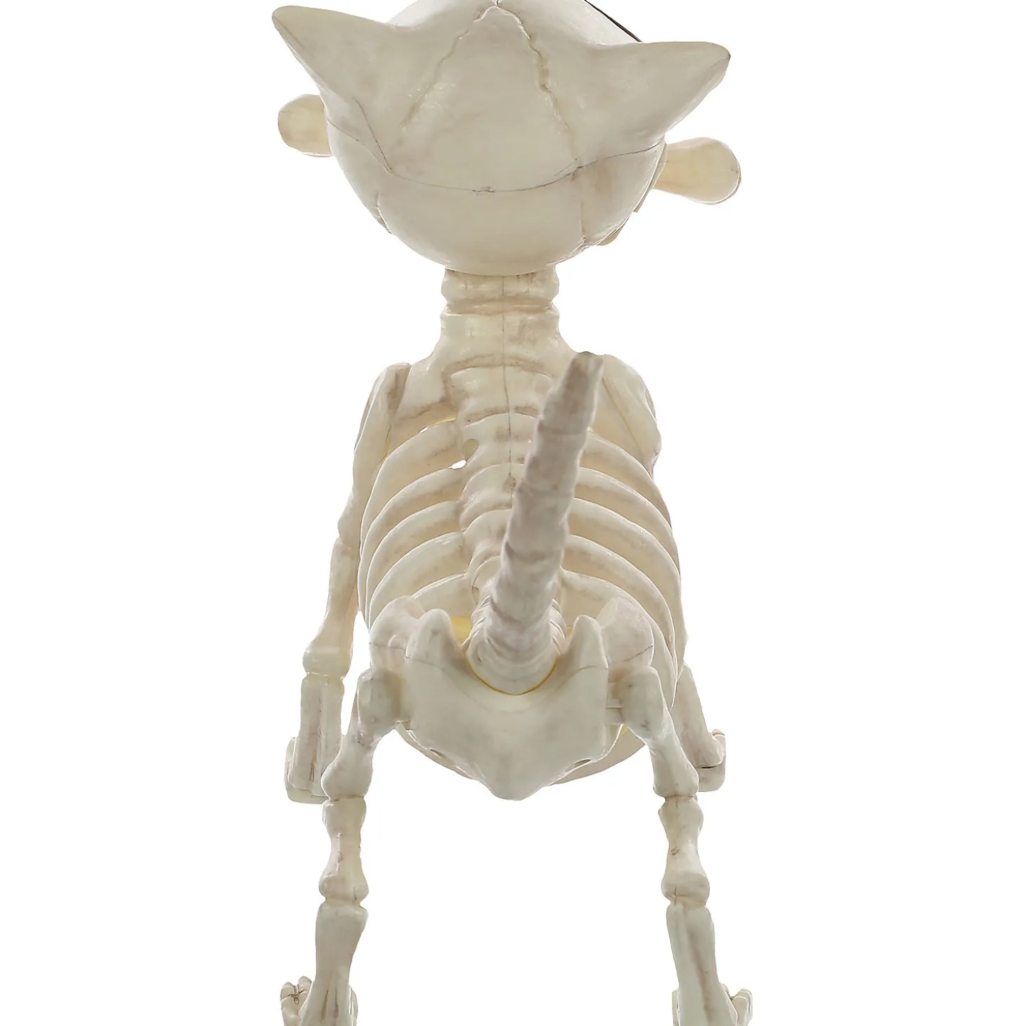 11" Digger The Skeleton Dog Decoration