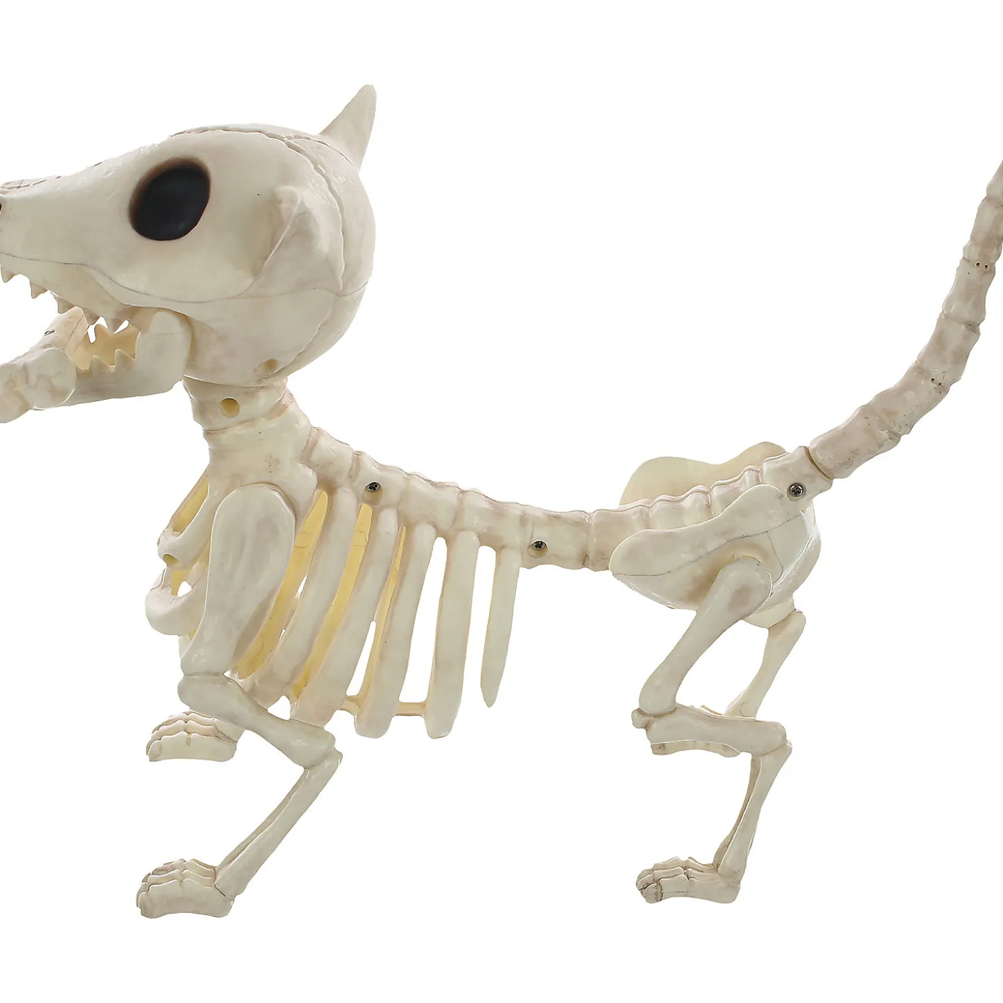 11" Digger The Skeleton Dog Decoration
