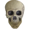 9.5" Foam Skull Decoration