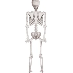 5 Ft. Skeleton Pose & Hold Halloween Decoration