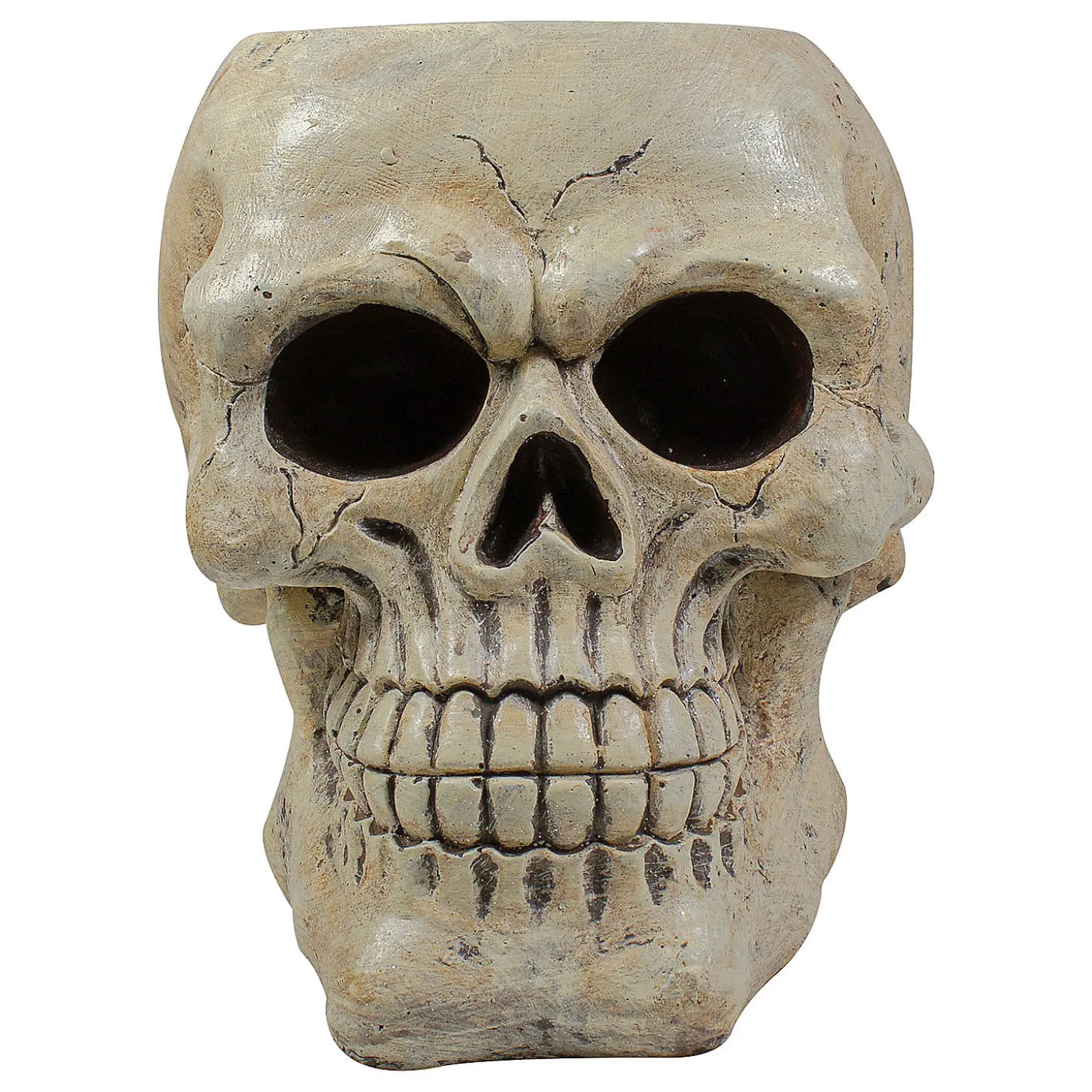 11" Ivory And Black Halloween Skull Tabletop Decoration