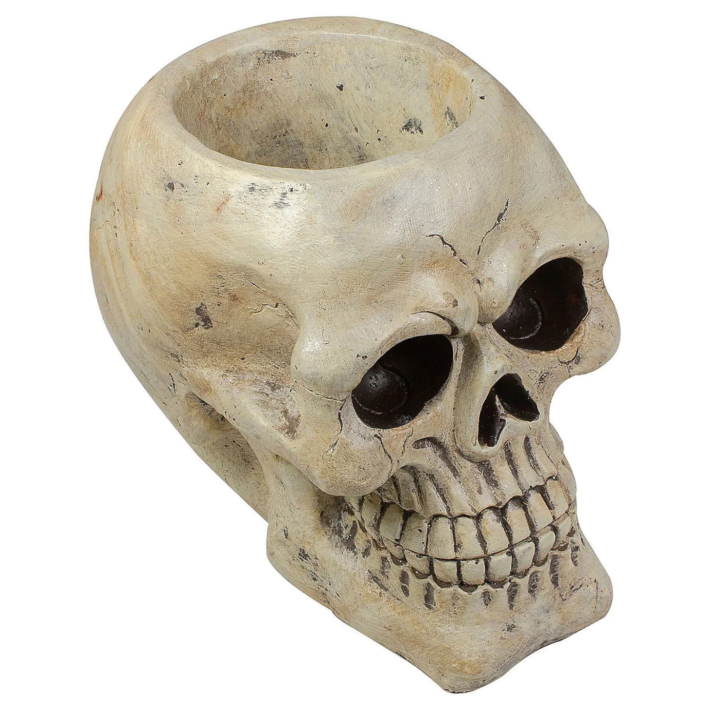 11" Ivory And Black Halloween Skull Tabletop Decoration