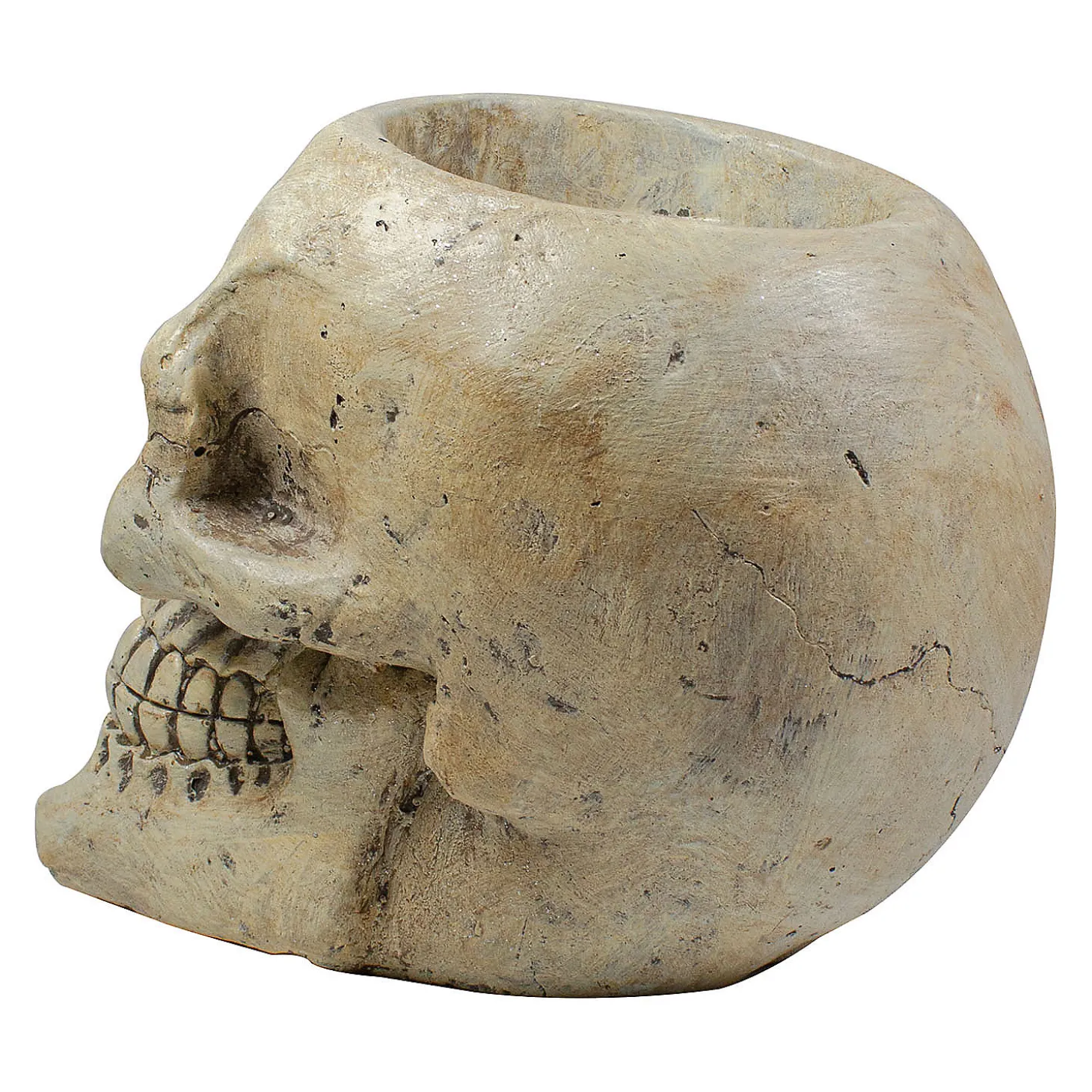 11" Ivory And Black Halloween Skull Tabletop Decoration