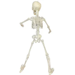 19" Poseable Skeleton Decoration