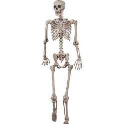 62" Poseable Skeleton Decoration