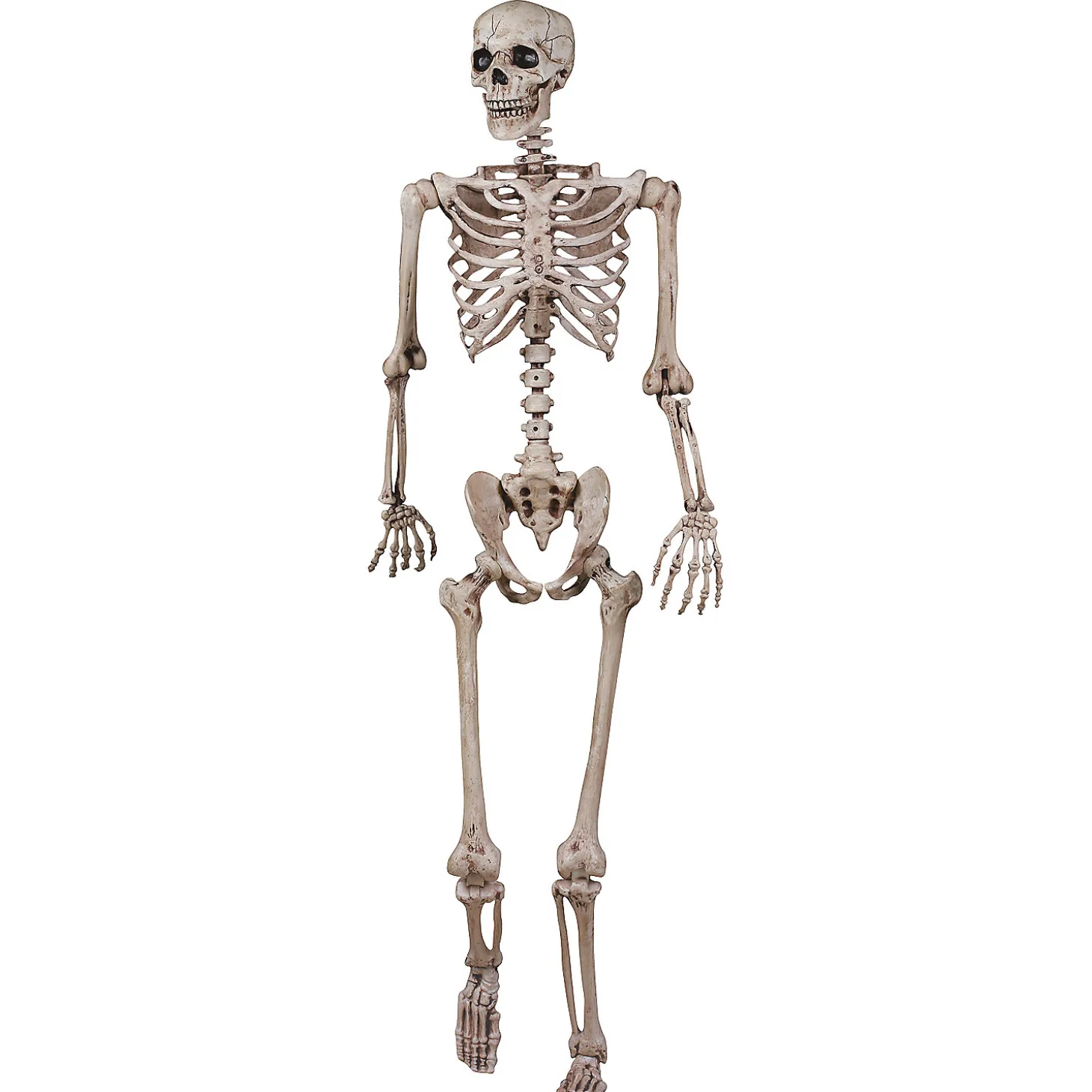 62" Poseable Skeleton Decoration