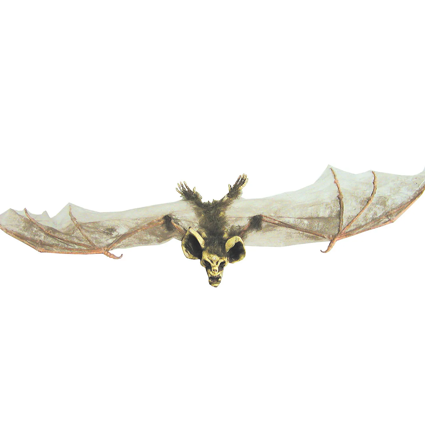 Bat With Skull Head (Brown)