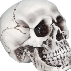 Beige Skull