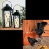 Black Lanterns & Crows Decorating Kit - 4 Pc.
