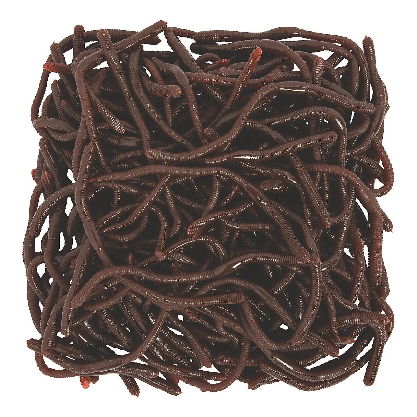 Bulk 144 Pc. Realistic Earthworms