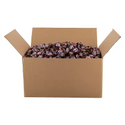 Bulk 1000 Pc. Snickers