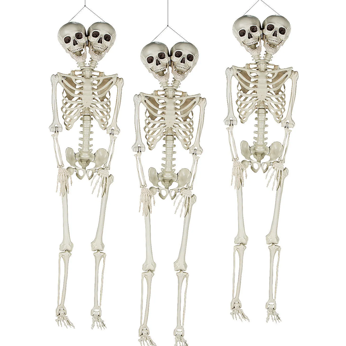 Bulk Two-Headed Life-Size Posable Skeleton Halloween Decorations - 3 Pc.