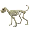 Buster Bonez Dog Skeleton Halloween Decoration