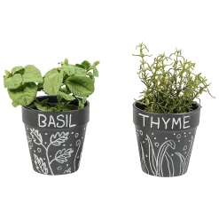 Ceramic Chalkboard Flower Pots - 12 Pc.