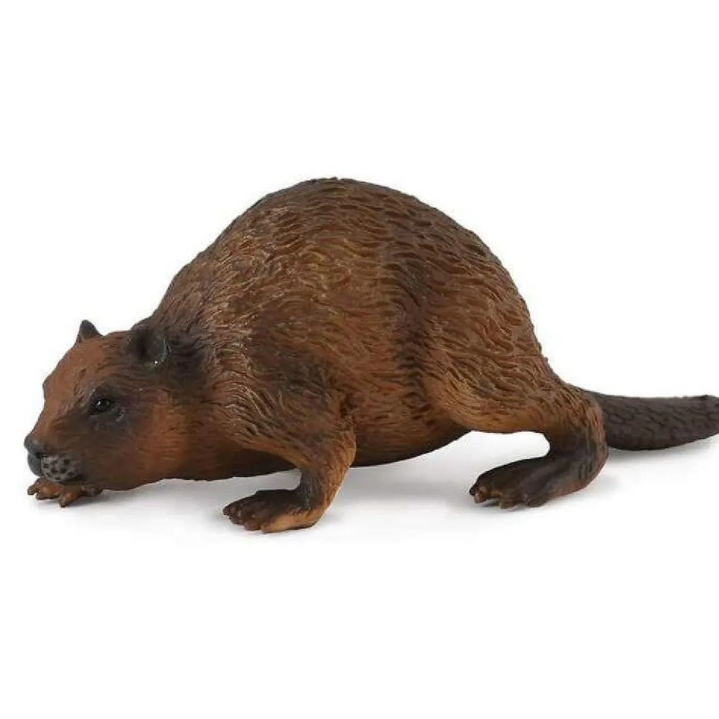 Collecta Wildlife Collection Miniature Figure Woodlands Beaver