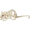 Crawling Rat Skeleton