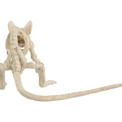 Creepy Crouching Mouse