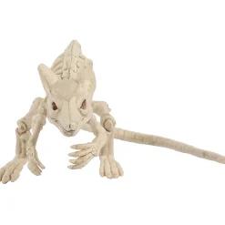 Creepy Crouching Mouse