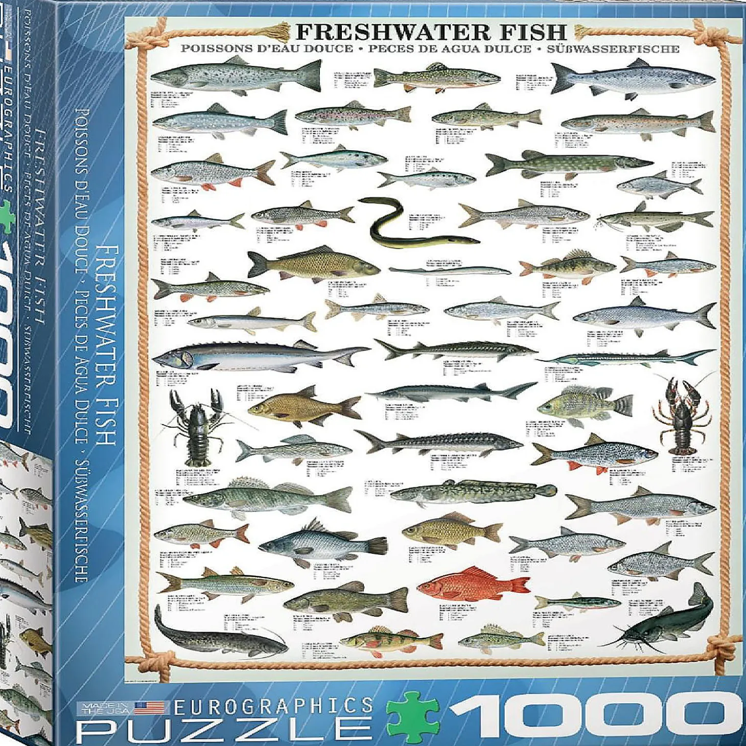Freshwater Fish 1000 Piece Jigsaw Puzzle