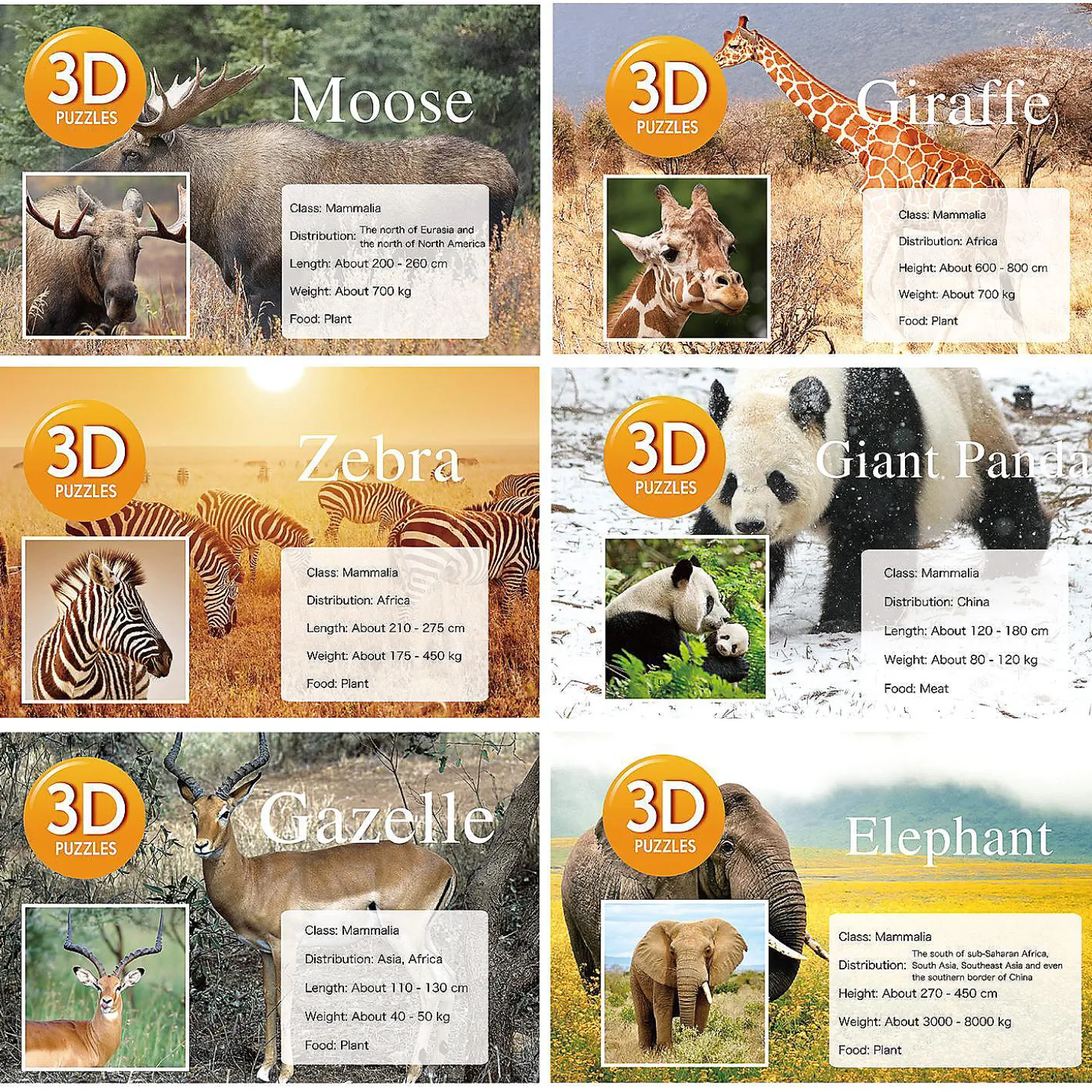 Fun Little Toys - 6 Pcs Wild Animal Building Blocks