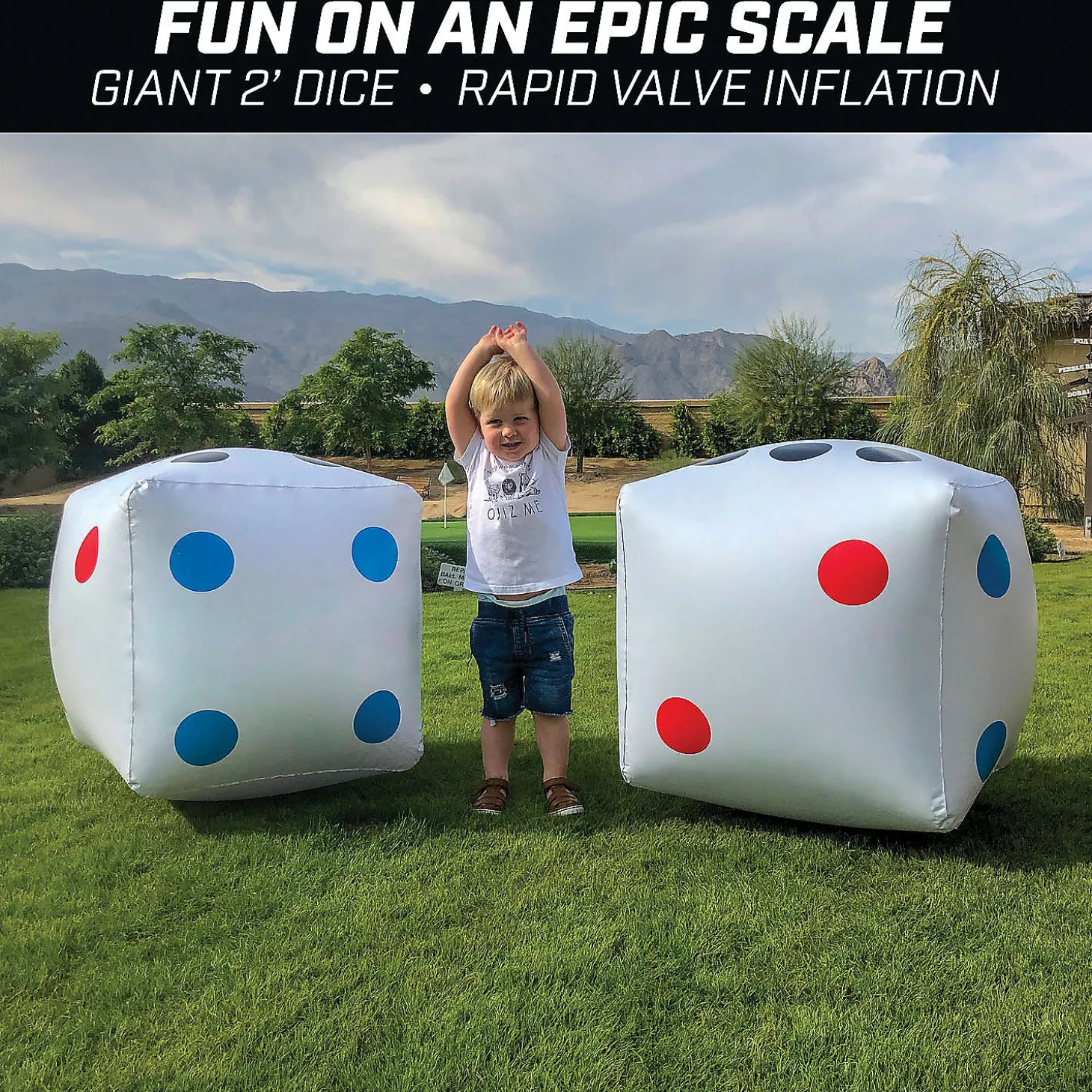 Gosports Giant 2' Inflatable Dice - 2 Pack
