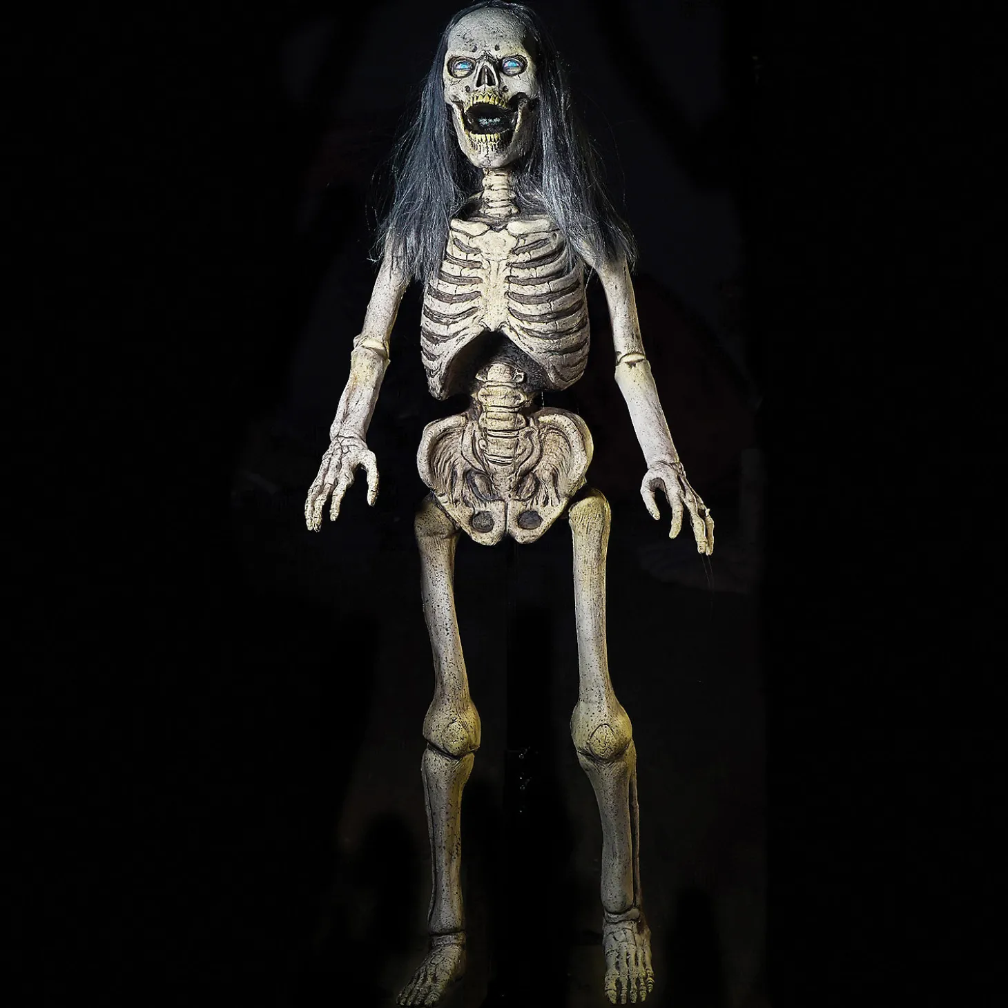 Hairy Scary Skeleton Prop
