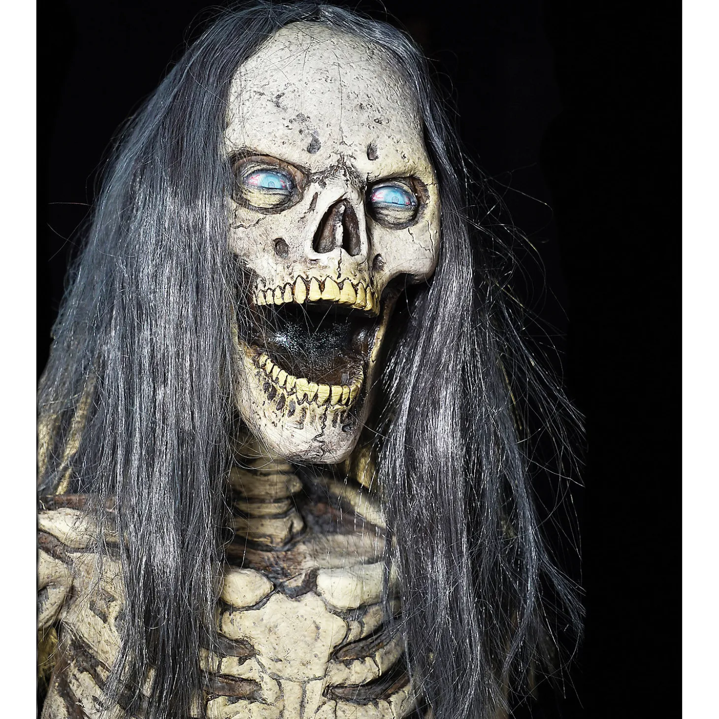 Hairy Scary Skeleton Prop