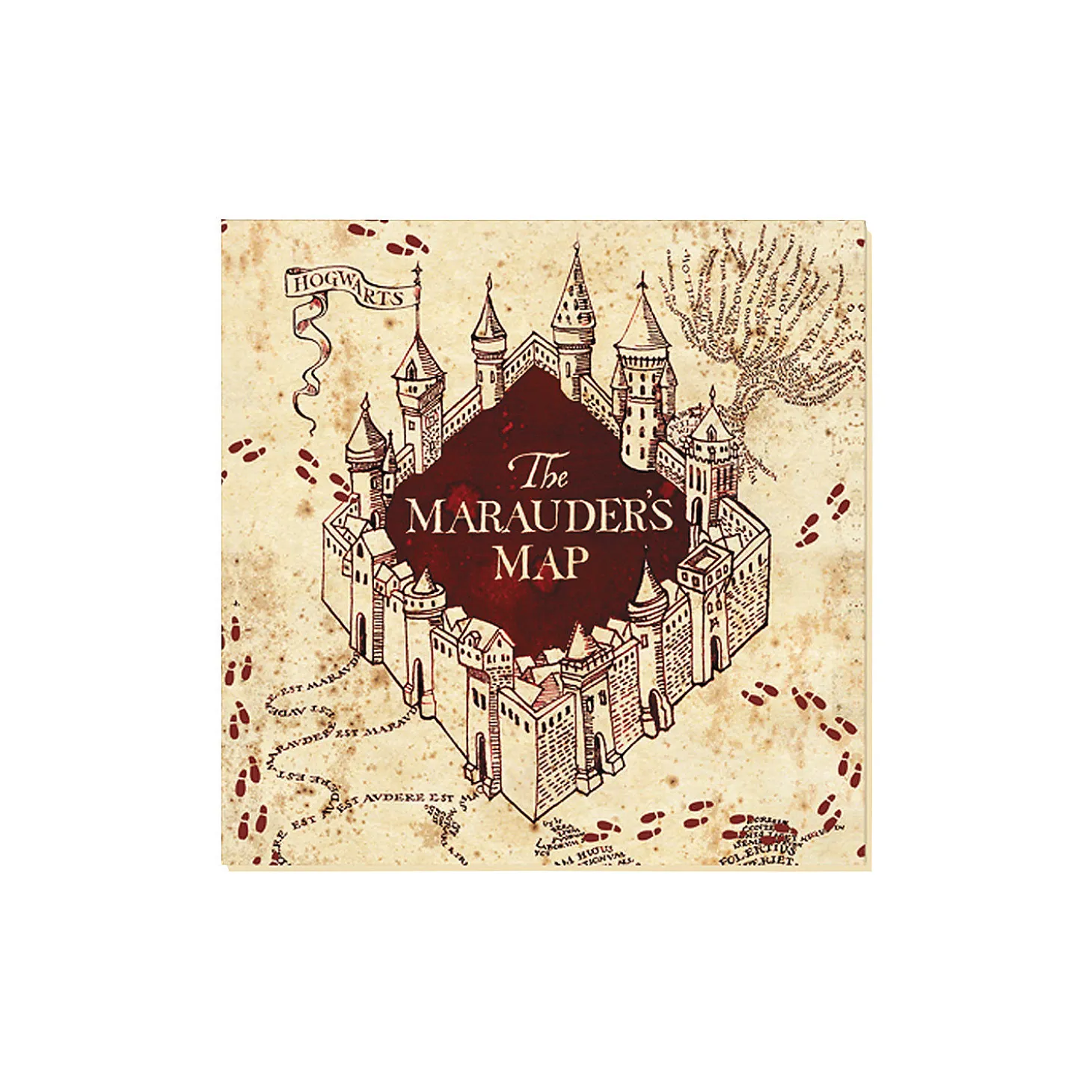 Harry Potter™ Mischief Managed Tableware Kit For 20 Guests