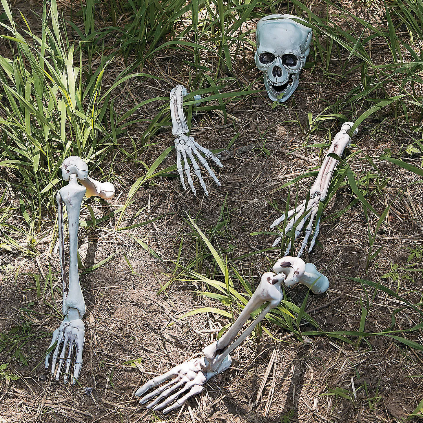 Life-Size Skeleton Yard Halloween Decoration