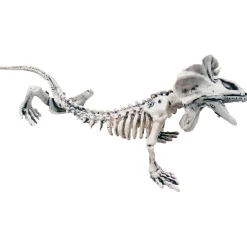 Lizard Skeleton Decoration