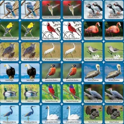 Masterpieces Officially Licensed Audubon Picture Matching Card Game For Kids And Families