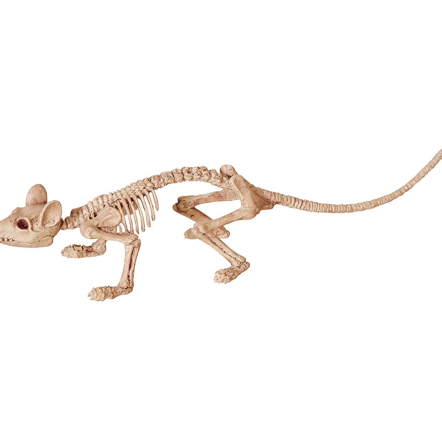 Mini Skeleton Rat Prop