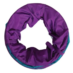 Pacific Play Tents Institutional Tunnel - Teal/Purple
