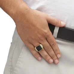 Palmbeach Jewelry Men's Yellow Gold-Plated Cushion Natural Black Onyx And Round Cubic Zirconia Ring Sizes 8-16