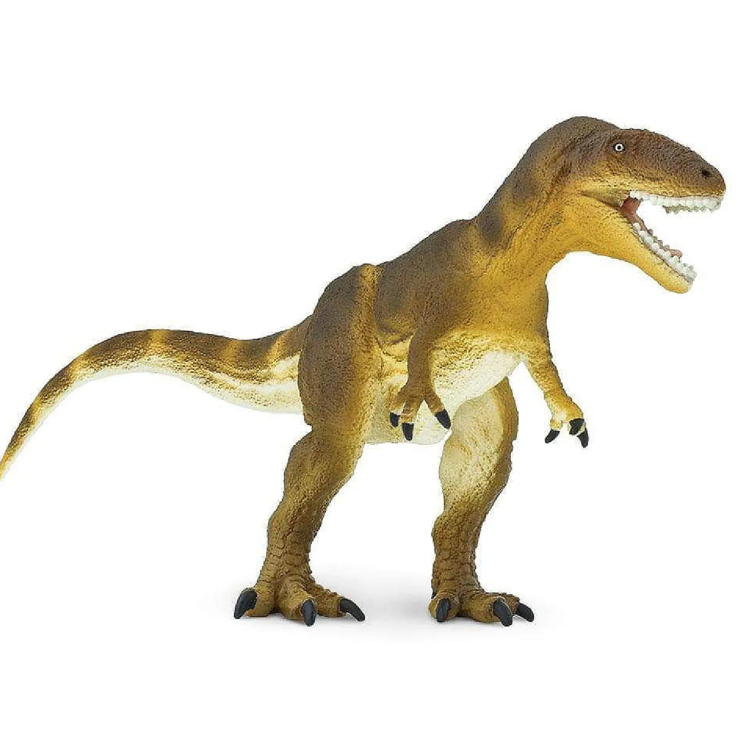 Safari Carcharodontosaurus Toy