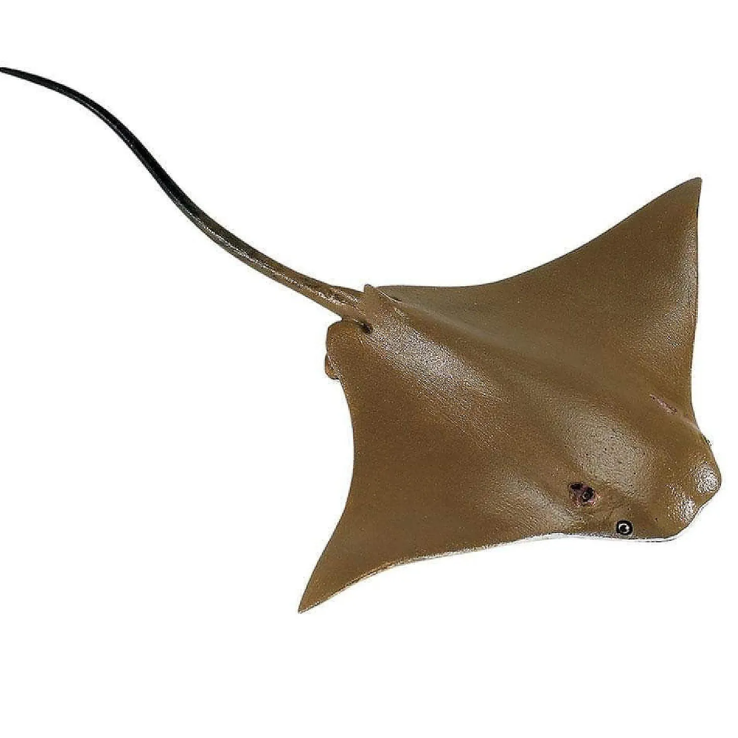 Safari Cownose Ray Toy