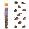 Safari Dinosaur Skulls Toob Toy