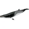 Safari Ltd. Minke Whale