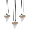 Shark Tooth Necklaces - 12 Pc.