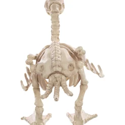 Skeleton Baby Duck Prop