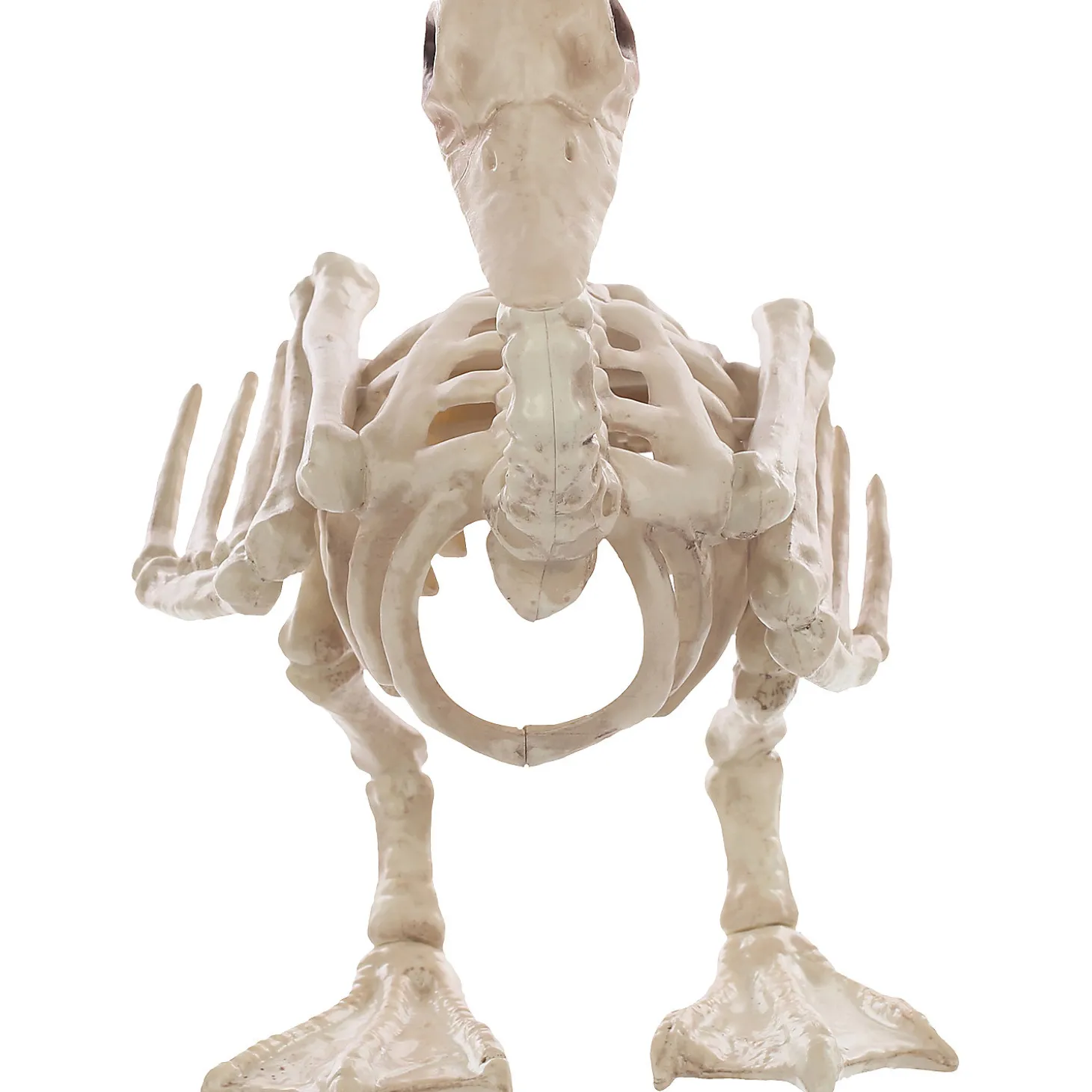 Skeleton Baby Duck Prop
