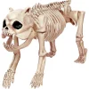 Skeleton Bones The Dog Prop